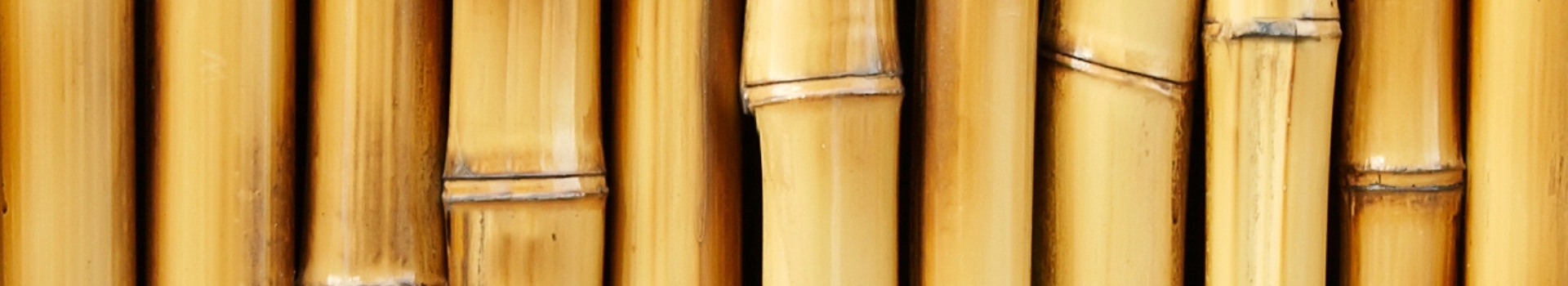 bambusy
