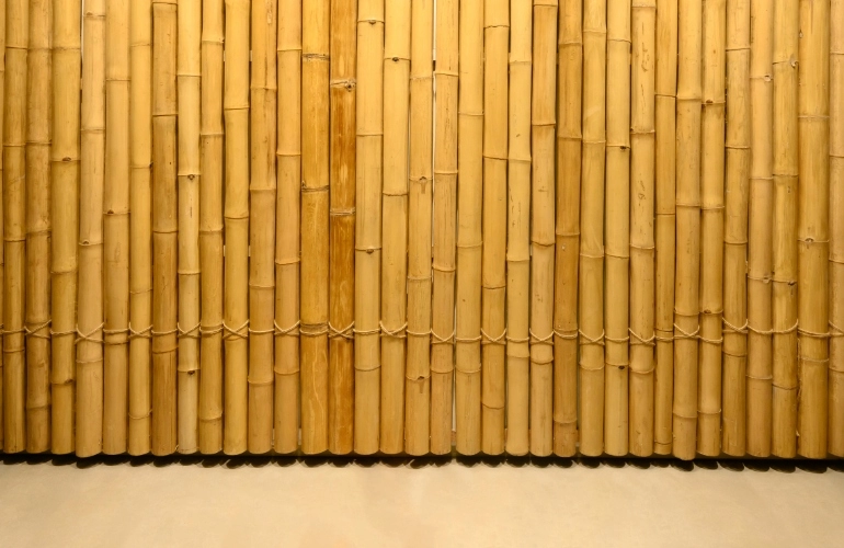 bambusowe ogrodzenie