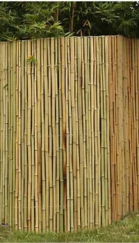 ogrodzeni-bambusowe-9